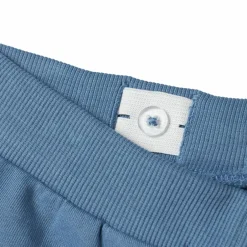 Clearance Guppy Helmer Drenge Shorts - Coronet Blue